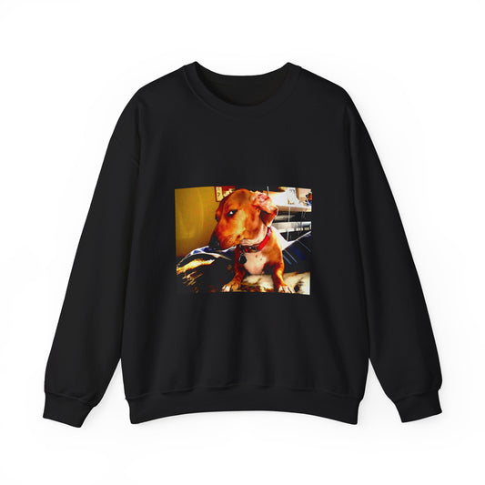 Dog Photo Crewneck Sweatshirt — Cute Pitbull Portrait Pullover