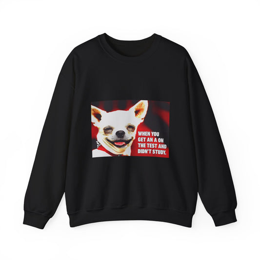 Chihuahua Meme Sweatshirt - "When You Get an A on the Test and Didn’t Study" Crewneck