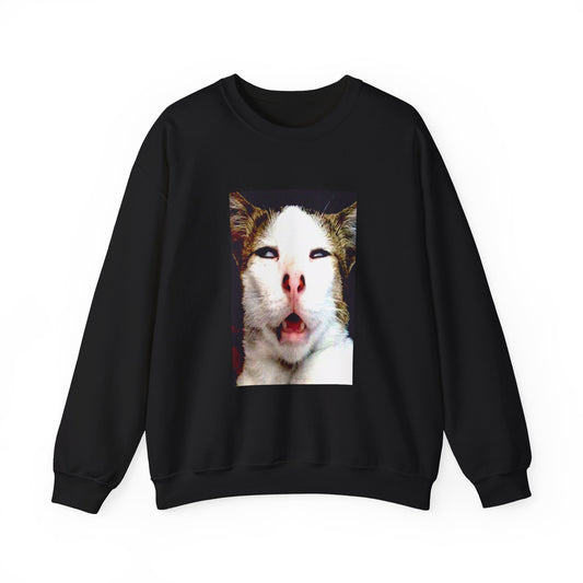 Cat Meme Crewneck Sweatshirt - Funny Close-Up Cat Photo Pullover