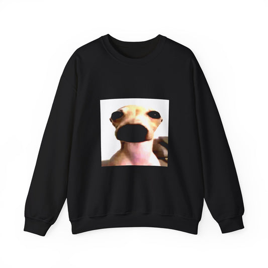 Dog Meme Sweatshirt — Funny Chihuahua Face Crewneck