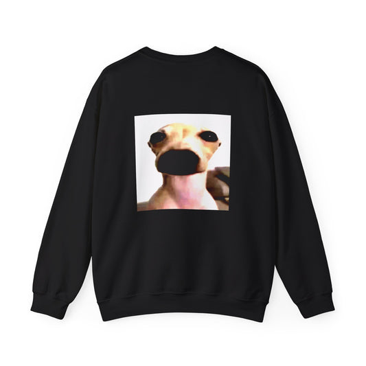 Funny Dog Meme Sweatshirt – Cute Close-Up Chihuahua Crewneck