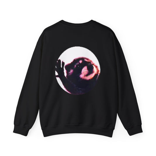 Funny Viral Raccoon Sweatshirt